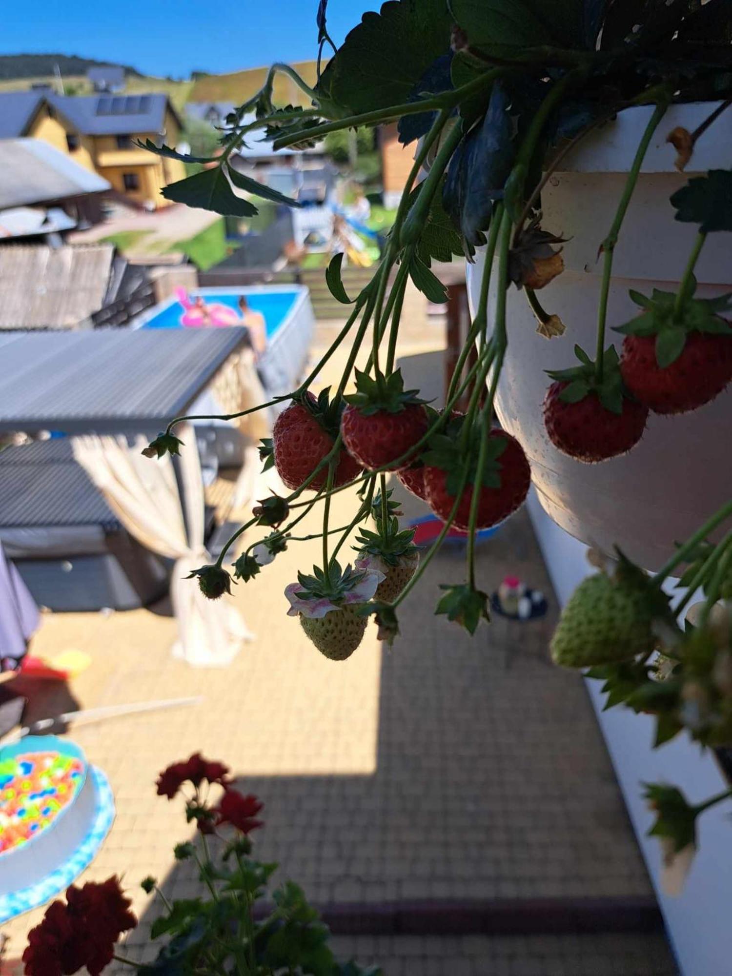 Apartamenty Maja Tylicz Exteriér fotografie