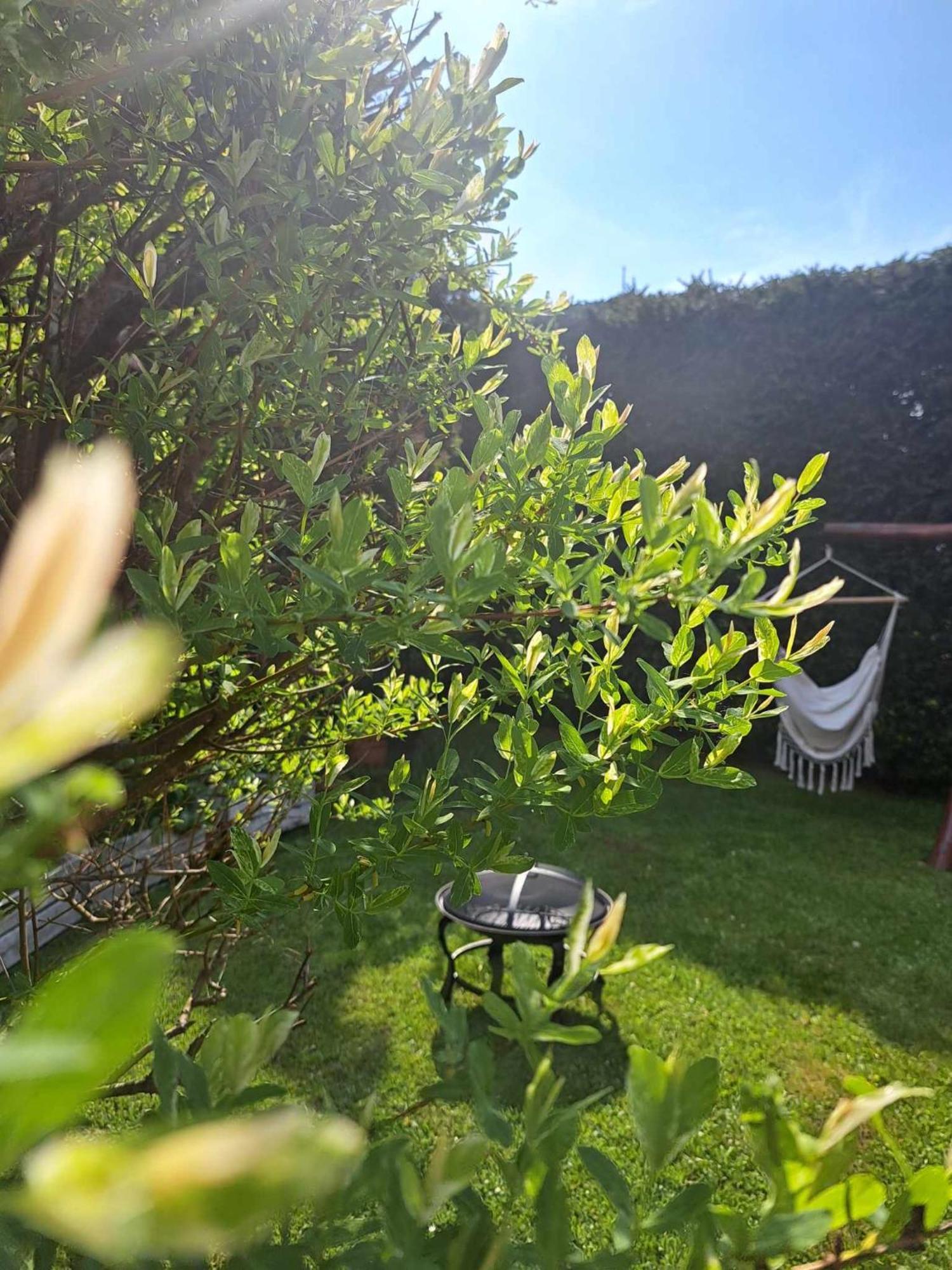Apartamenty Maja Tylicz Exteriér fotografie